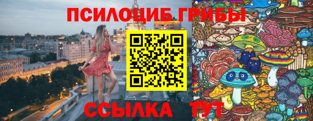 Псилоцибиновые грибы GOLDEN TEACHER  Вход с VPN  Керчь 