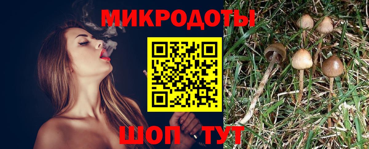 Галлюциногенные грибы мицелий Керчь
